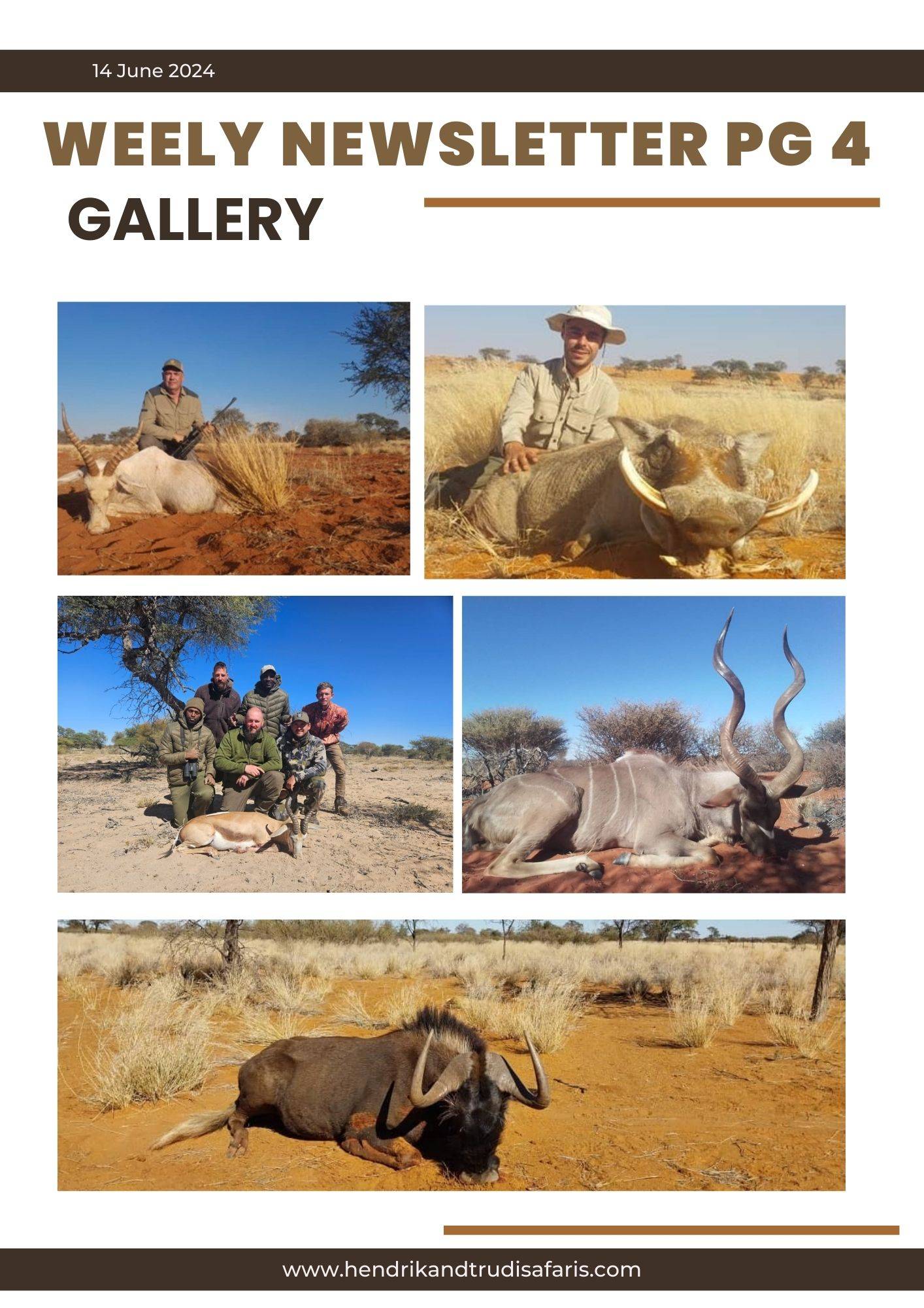 Newsletter 14 June pg 4