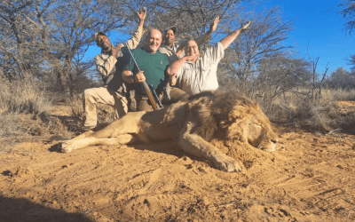 Old Friendships, Lion Hunting, Adventures, Charity, and Conservation at Hendrik and Trudi Safaris