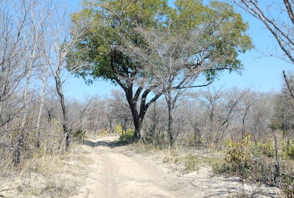 The Thrill of the Hunt and the Breathtaking Beauty of Namibia – Striking Contrasts, Rich in Diversity