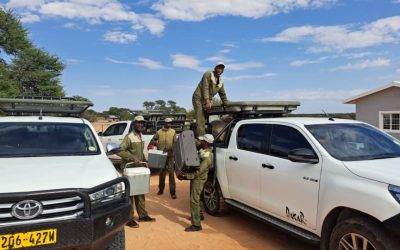 A Memorable Hunting Experience in the South, a Prize Trophy, and a Wonderful Start to Hendrik Adventure Tours