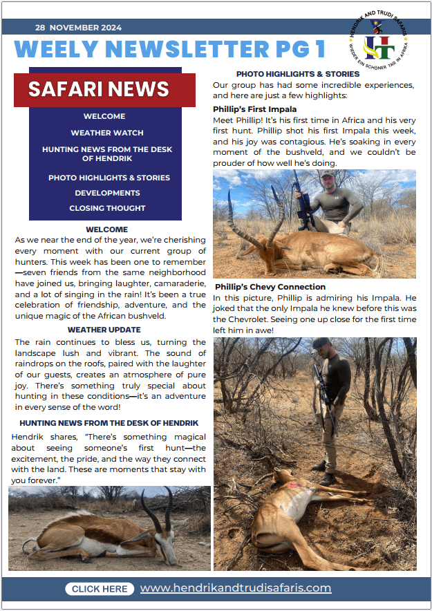 Weekly Newsletter 28/12/2024