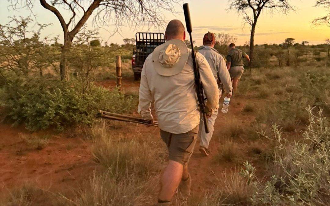In the Heart of Namibia, Where Adventure Begins, and Stories are Made