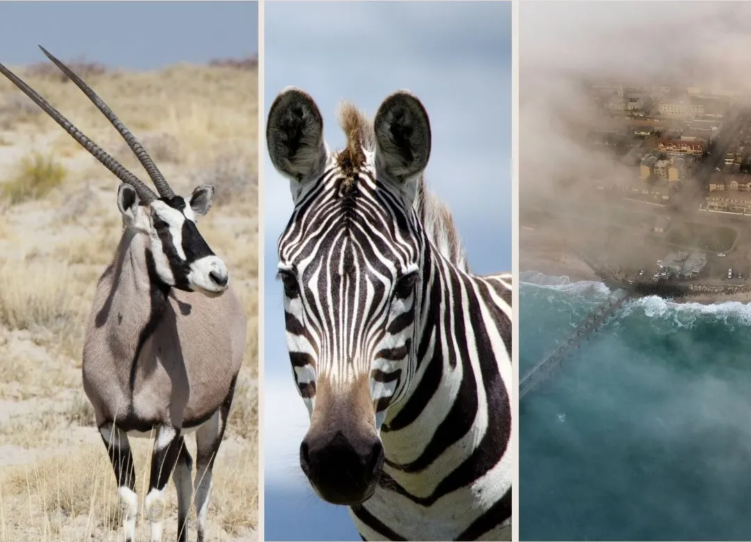 Header Image for Package 2 of 2026 Namibia Hunting