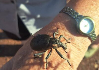 Even the little bugs are fascinating
